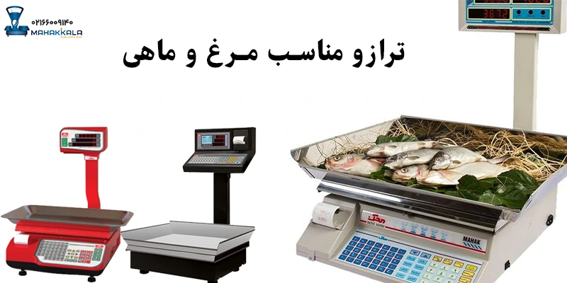 ترازو مناسب مرغ و ماهی